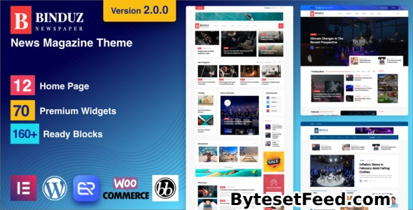 Binduz v2.2.0 - Blog Magazine Newspaper Theme