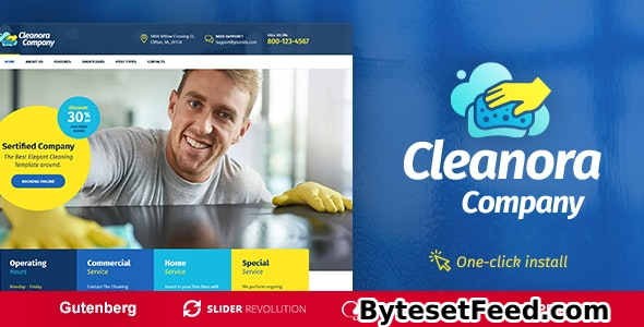 Cleanora v1.1.4 - Cleaning Services Theme